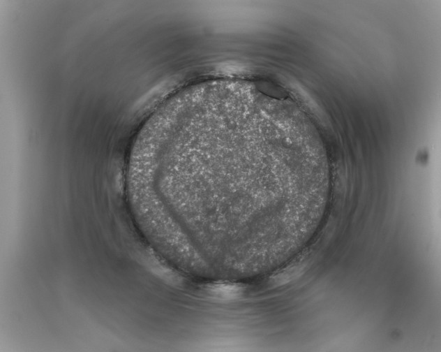 X0000089860313200707262133