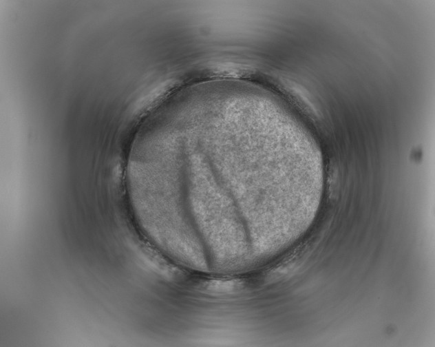 X0000089860314200707262133