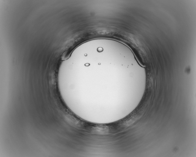 X0000089860317200707262133