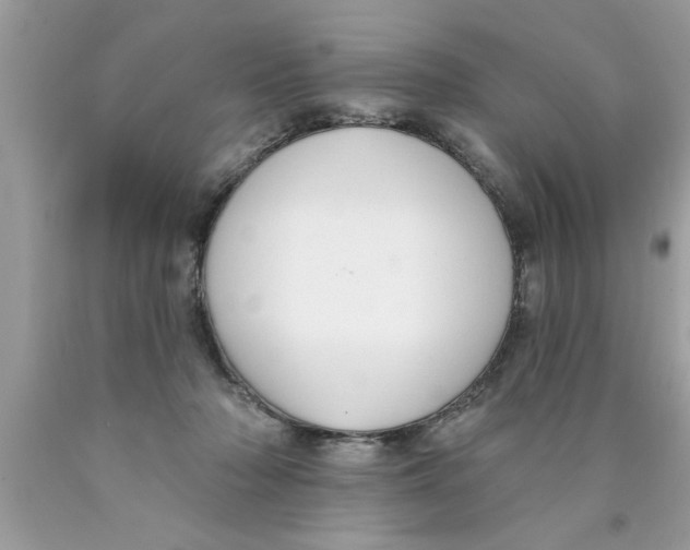 X0000089860318200707262133
