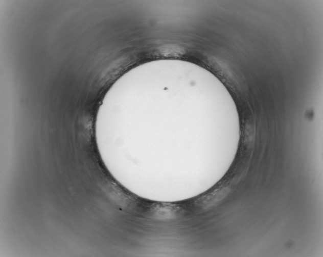 X0000089860321200707262133
