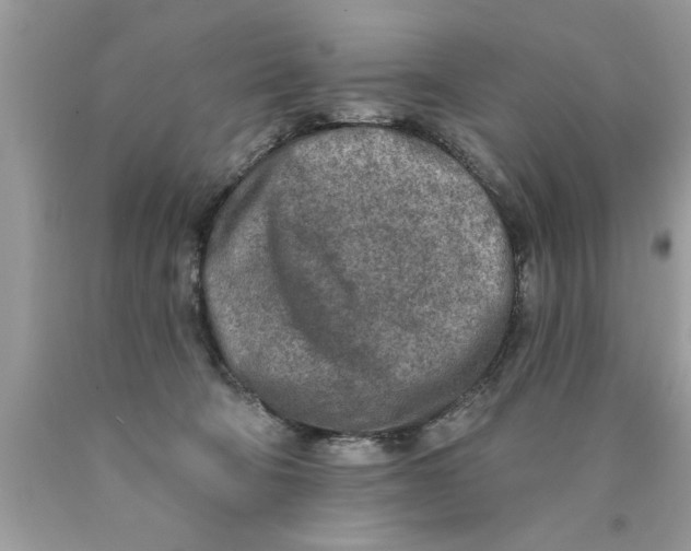 X0000089860322200707262133