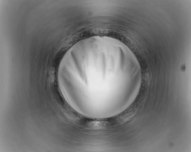 X0000089860323200707262133