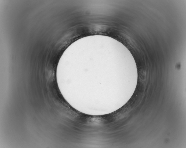 X0000089860324200707262133