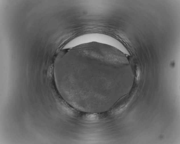 X0000089860325200707262133