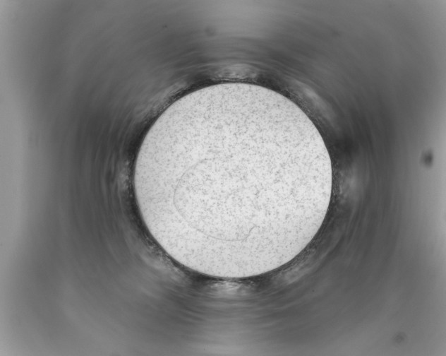 X0000089860326200707262133