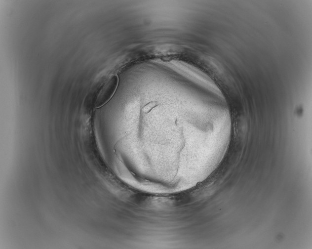 X0000089860327200707262133