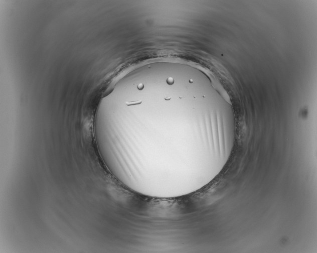 X0000089860329200707262133