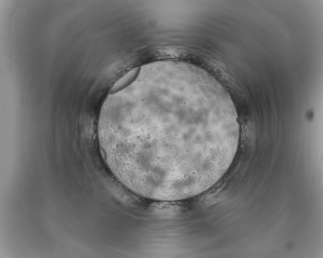 X0000089860331200707262133
