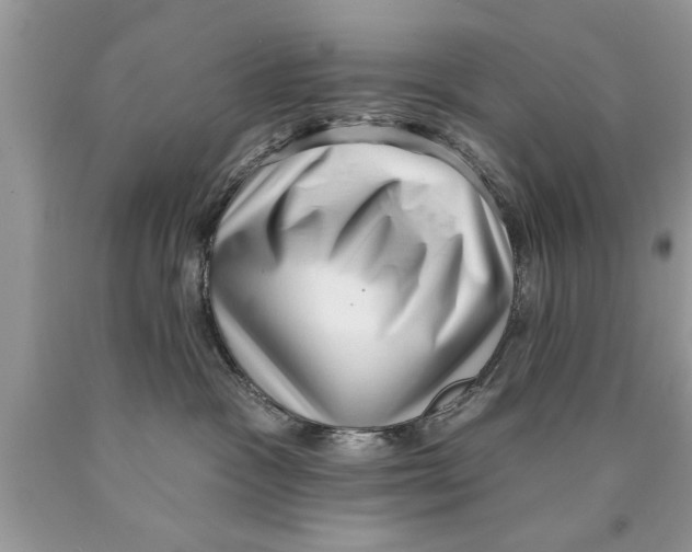 X0000089860333200707262133
