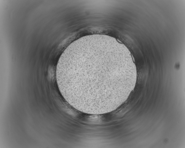 X0000089860335200707262133