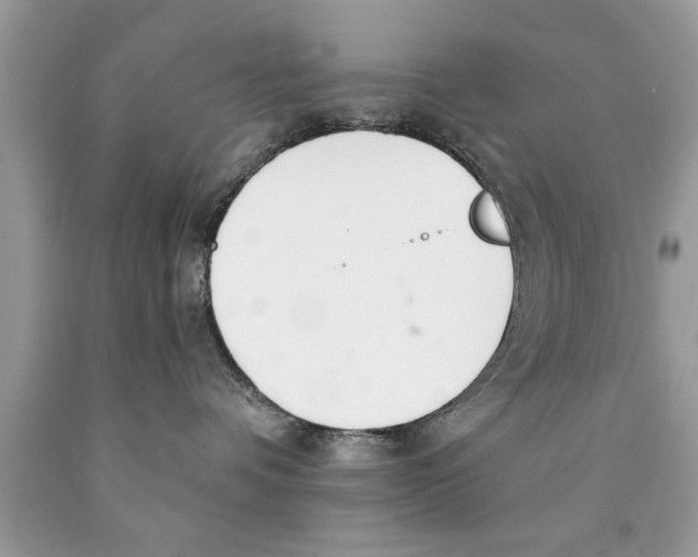 X0000089860336200707262133