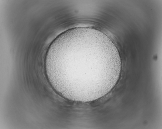 X0000089860337200707262132