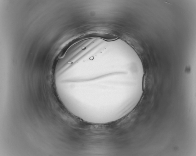 X0000089860338200707262132