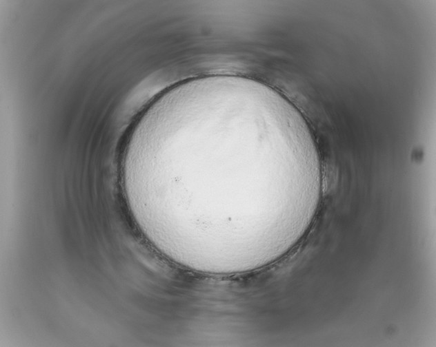 X0000089860339200707262132