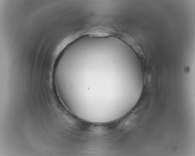 X0000089860340200707262132