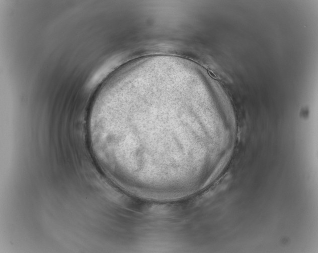 X0000089860341200707262132