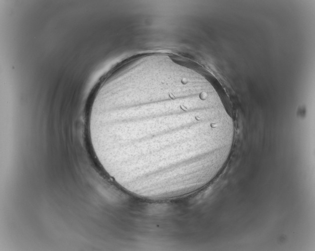 X0000089860342200707262132