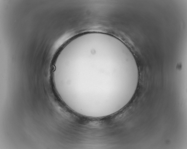 X0000089860344200707262132