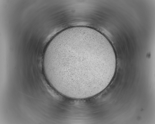 X0000089860345200707262132