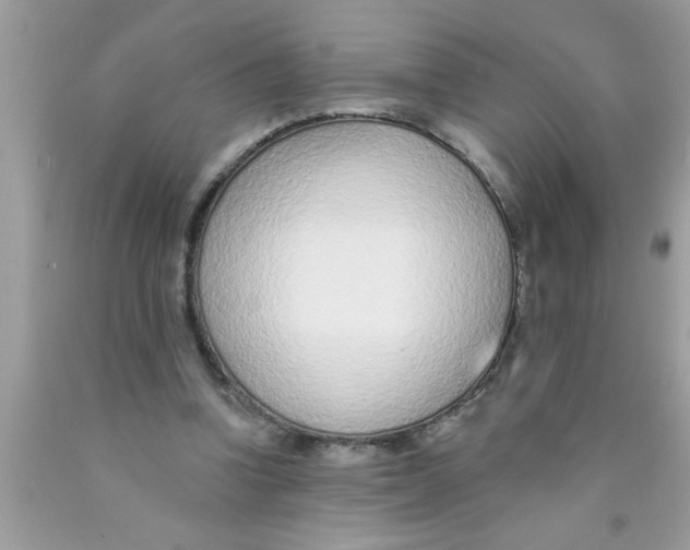 X0000089860346200707262132