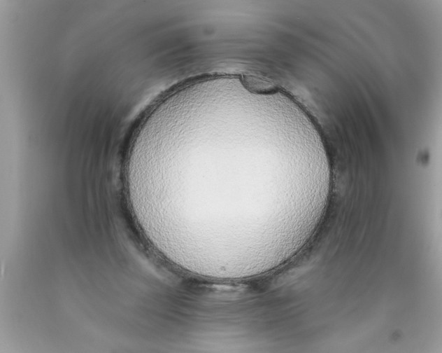 X0000089860347200707262132