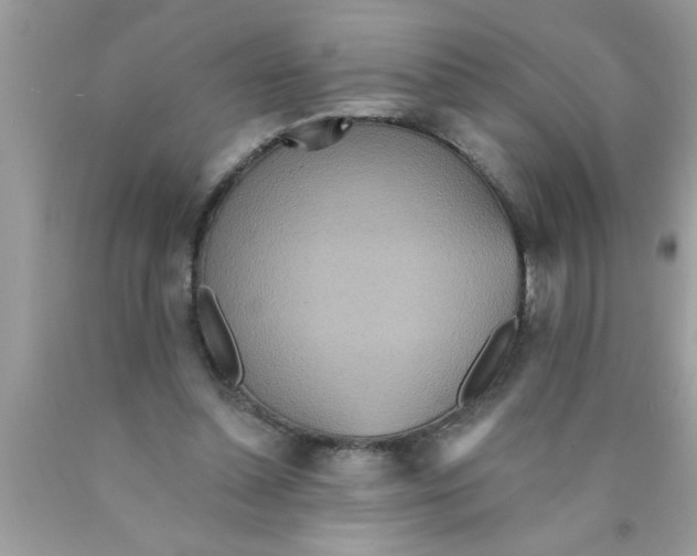 X0000089860348200707262132