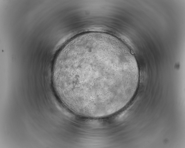 X0000089860349200707262132
