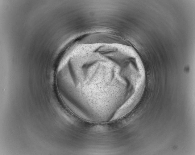 X0000089860350200707262133