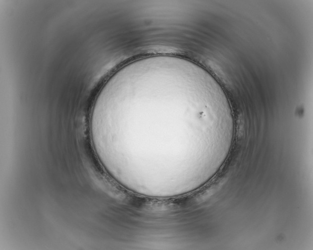 X0000089860351200707262133
