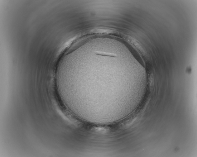 X0000089860352200707262133