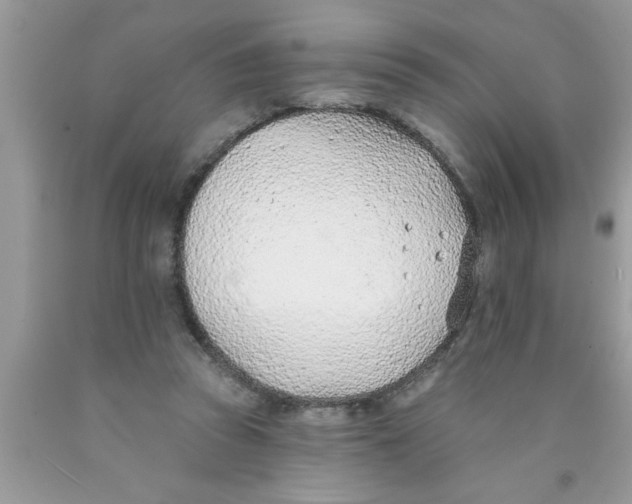 X0000089860353200707262133