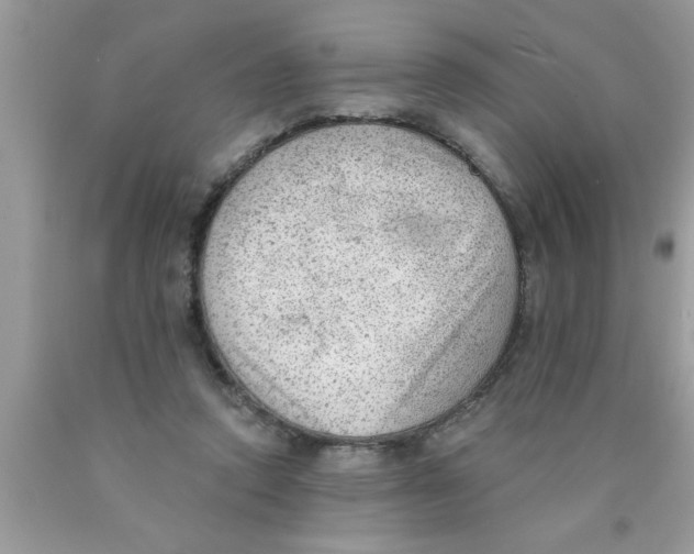 X0000089860354200707262133