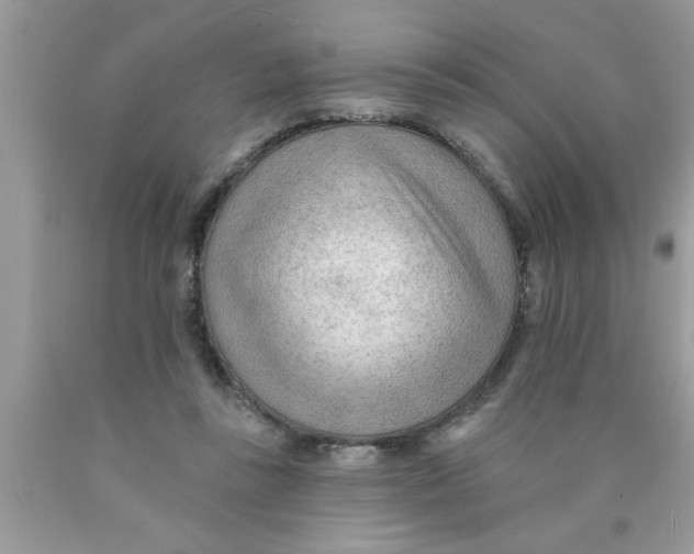 X0000089860355200707262133