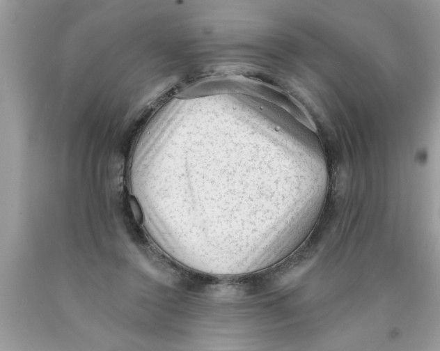 X0000089860356200707262133