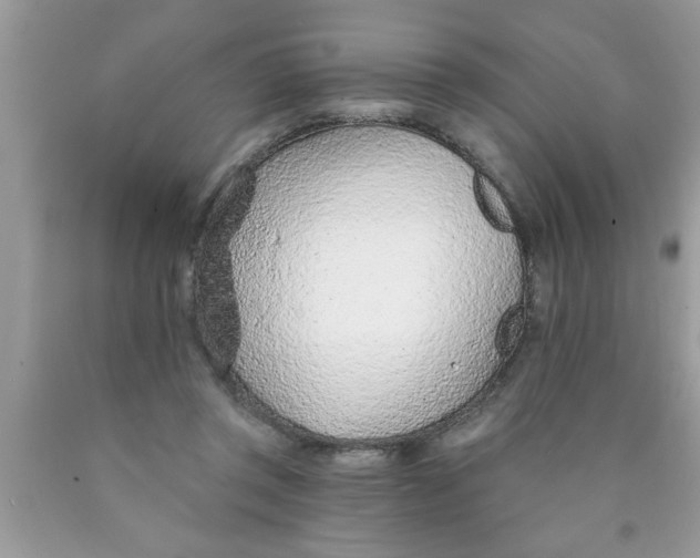 X0000089860357200707262133