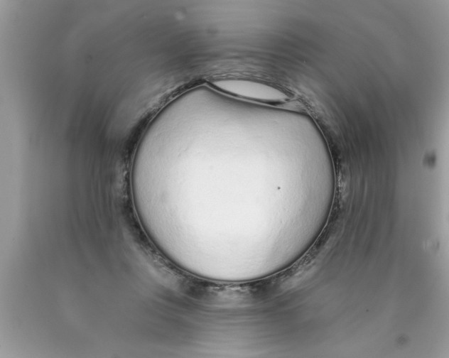 X0000089860359200707262133