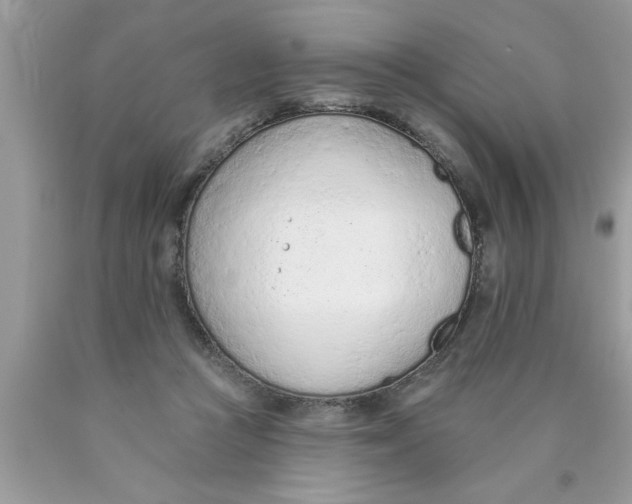 X0000089860361200707262133