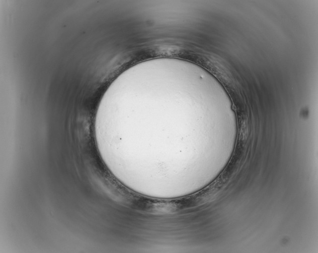 X0000089860363200707262133