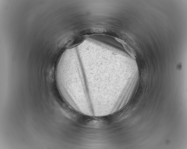 X0000089860364200707262133