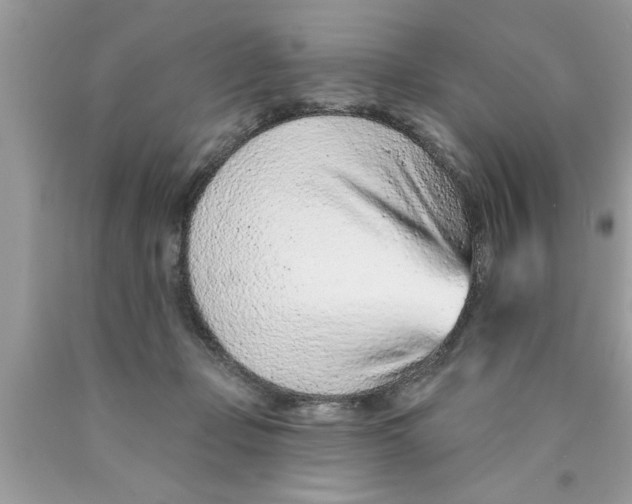 X0000089860365200707262133