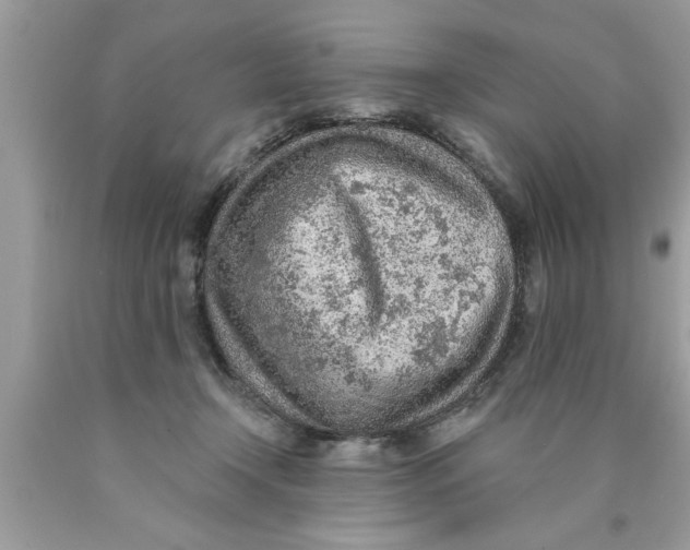 X0000089860366200707262133