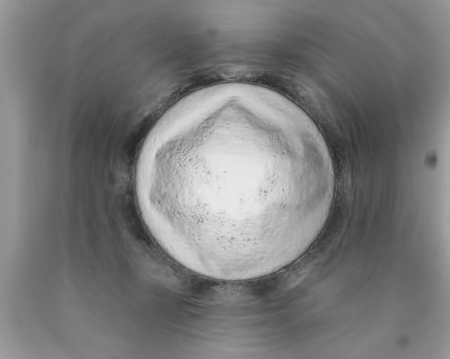 X0000089860367200707262133
