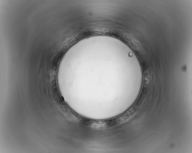 X0000089860369200707262133