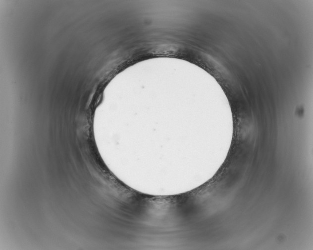 X0000089860370200707262133