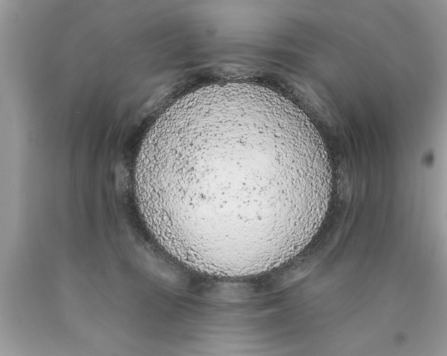 X0000089860371200707262133