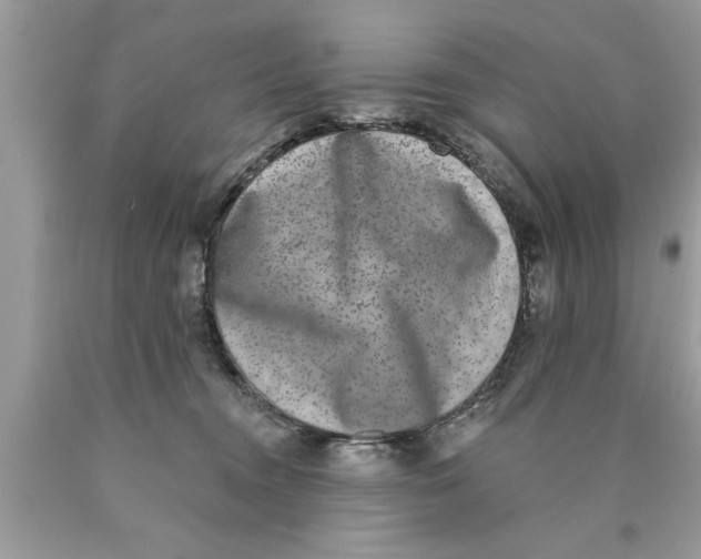 X0000089860372200707262133