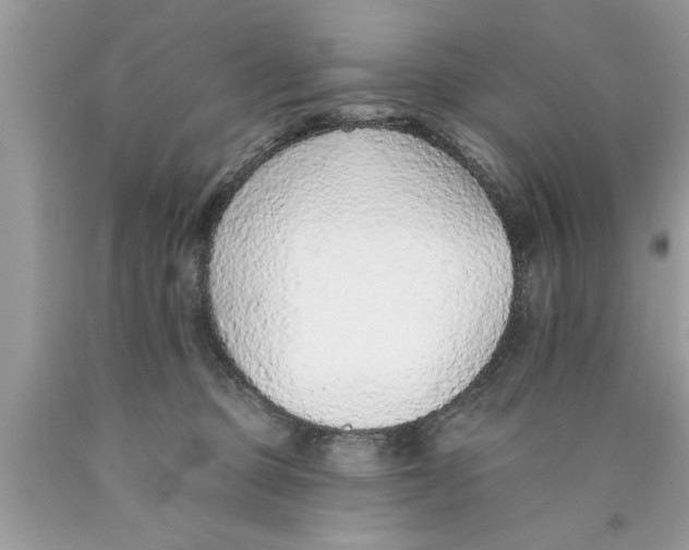 X0000089860373200707262133
