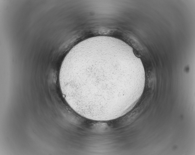 X0000089860374200707262133
