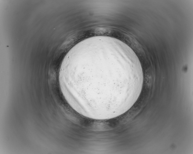 X0000089860375200707262133